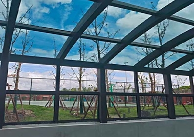 transitional window film