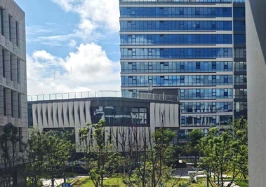 Light-responsive smart glass